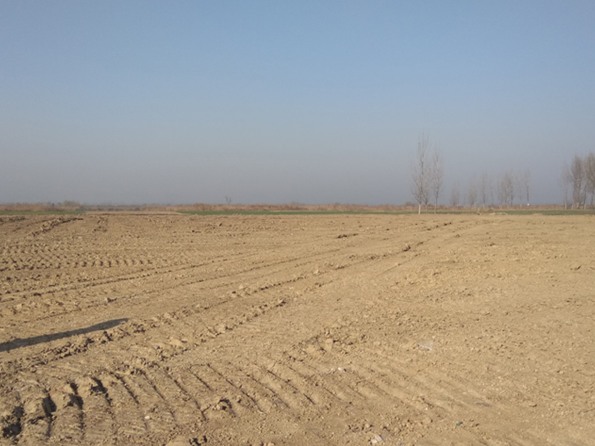 淮北市杜集区2013年第十五次工矿废弃地复垦项目