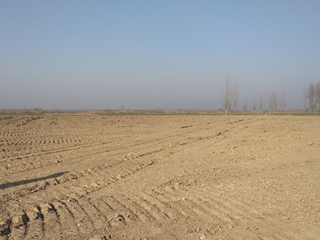 淮北市杜集区2013年第十五次工矿废弃地复垦项目 淮北市杜集区2013年第十五次工矿废弃地复垦项目