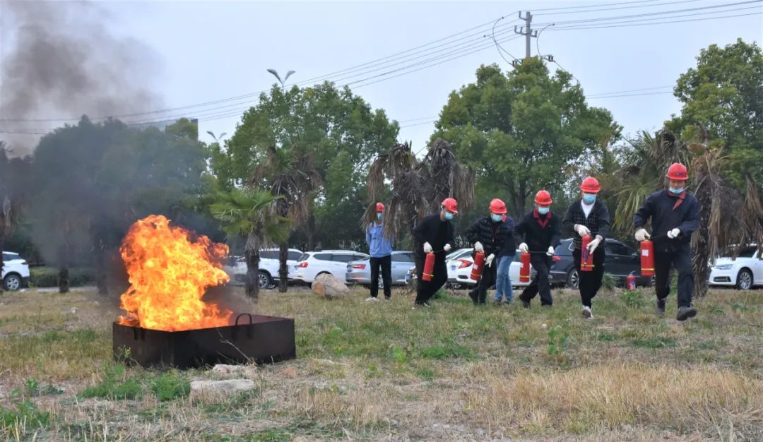 7eae28fa659e21965626455ef99e5f8e