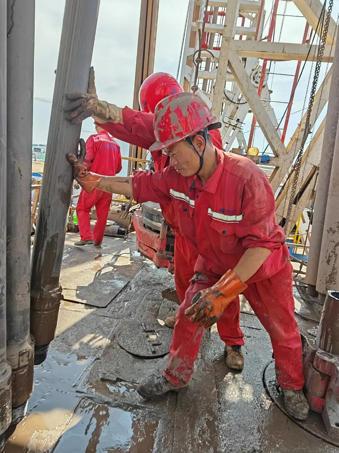 4f3c24a6c7ccc44b3dab09a93bbb8e49